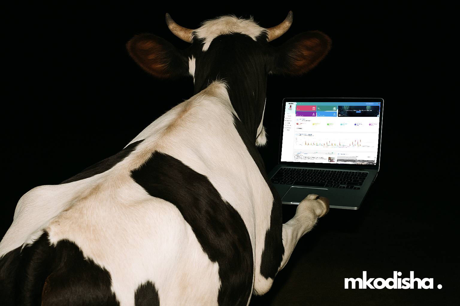 Cow Typing Laptop Simple Compose 01Jv1Wvwaefhnbasez6Pd0Bpmp